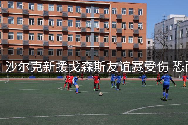 沙尔克新援戈森斯友谊赛受伤 恐面临数周缺阵