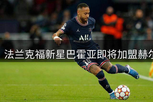 法兰克福新星巴霍亚即将加盟赫尔城